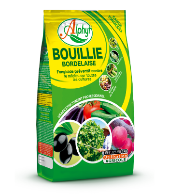 BOUILLIE BORDELAISE