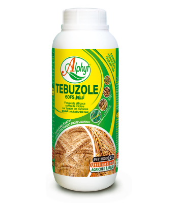 TEBUZOLE 60 FS